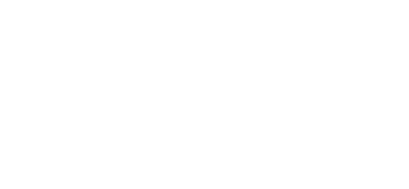 n29_logo_front